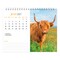 BrownTrout; Highland Cows | 2027 7.5 x 6 Inch Monthly Double-View Easel Desk Calendar; Category:Desk Calendars; Image:4